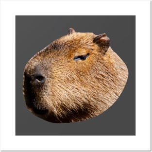 Capybara Profile Posters and Art